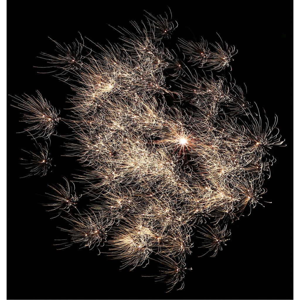 Bang & Scream, 11er-Rak.-Btl.