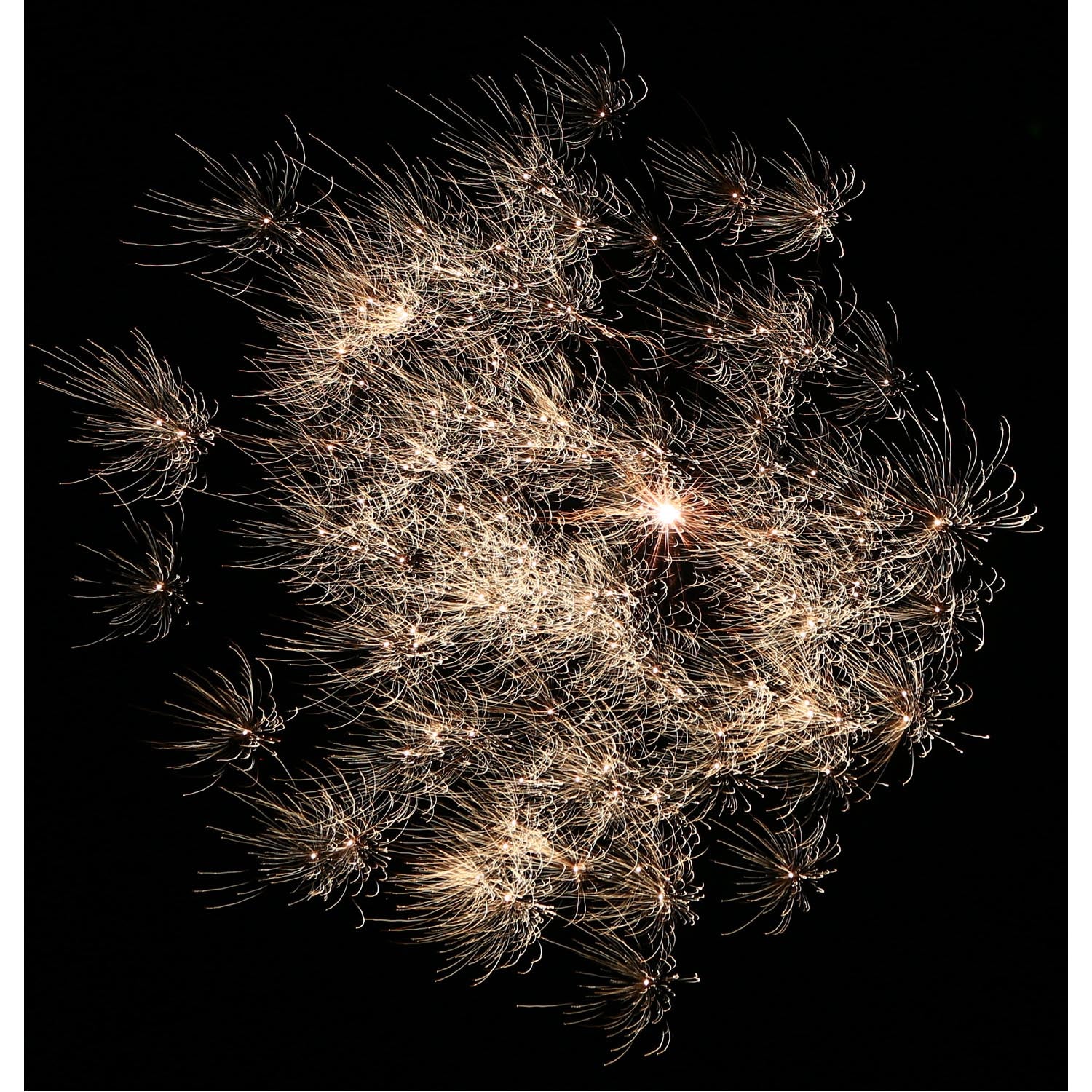 Bang & Scream, 11er-Rak.-Btl.