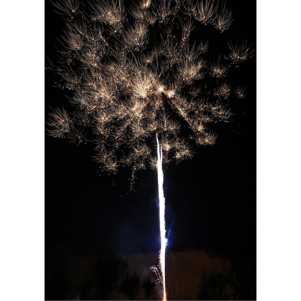 Delta Fire V138-1880