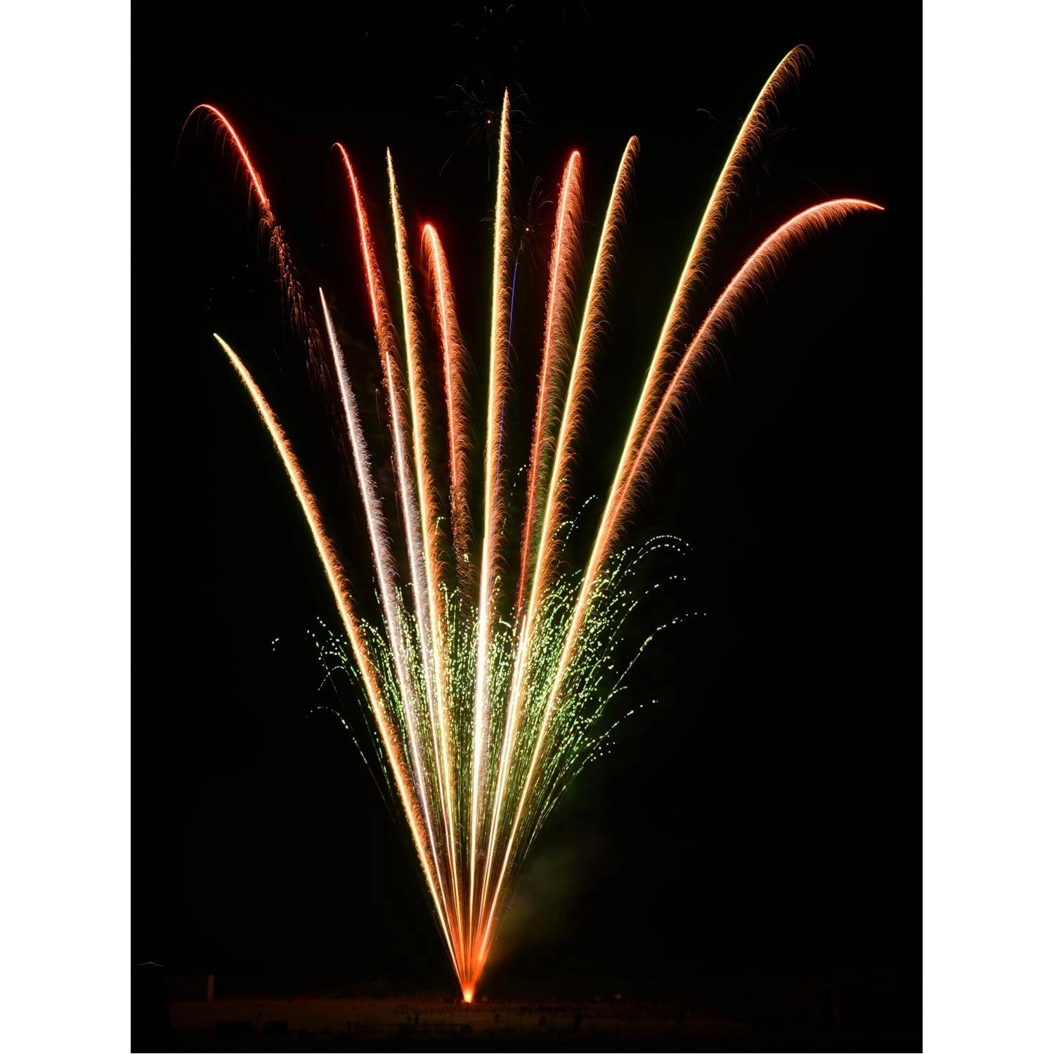 Flammen Panther