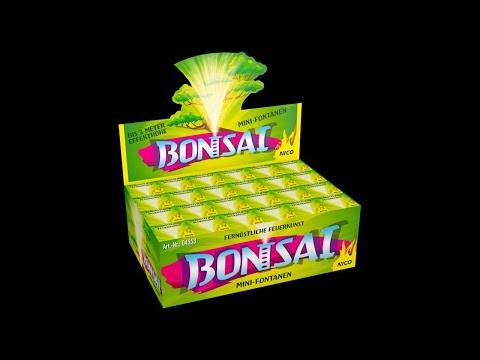 Bonsai, 1er-Schtl.